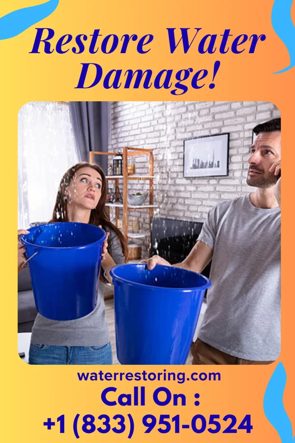 water restoration Shield Water Mitigation Professionals Boydton
