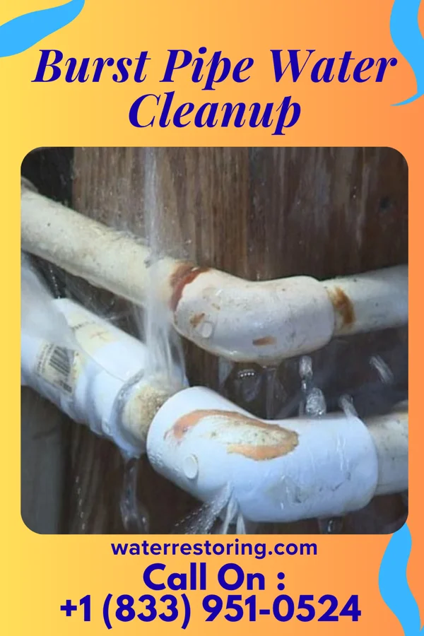 Burst Pipe Water Cleanup in Boydton, VA