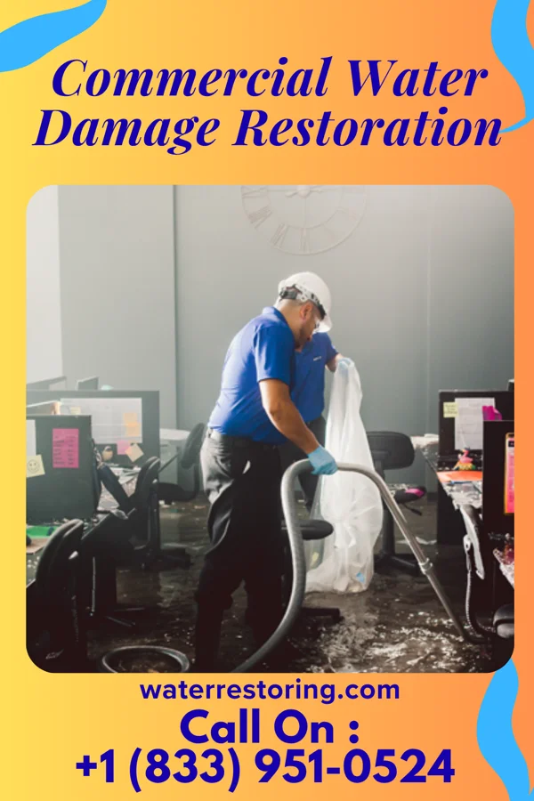 Commercial Water Damage Restoration in Boydton, VA