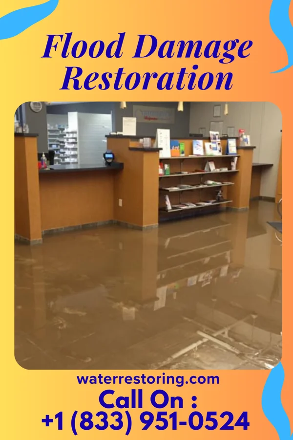 Flood Damage Restoration in Boydton, VA