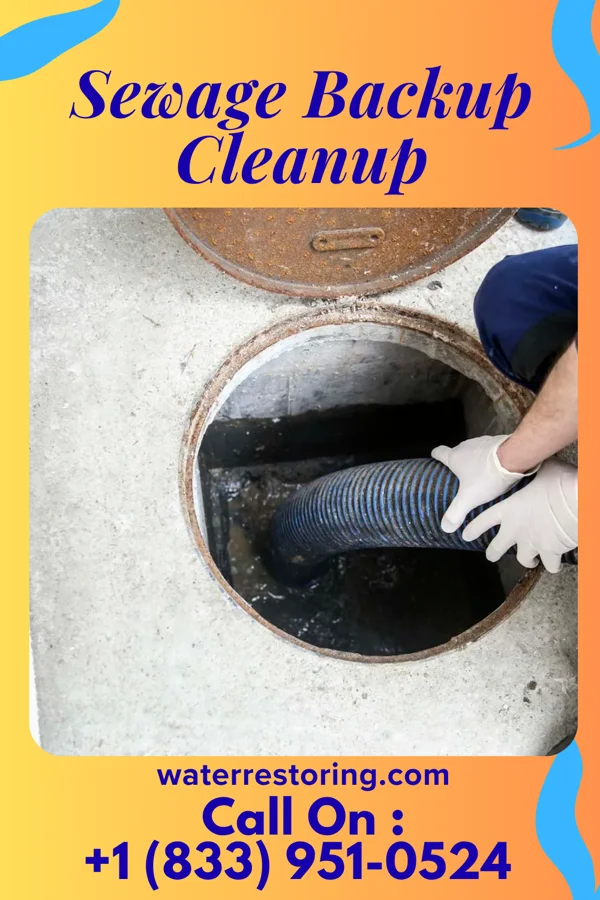 Sewage Backup Cleanup in Boydton, VA