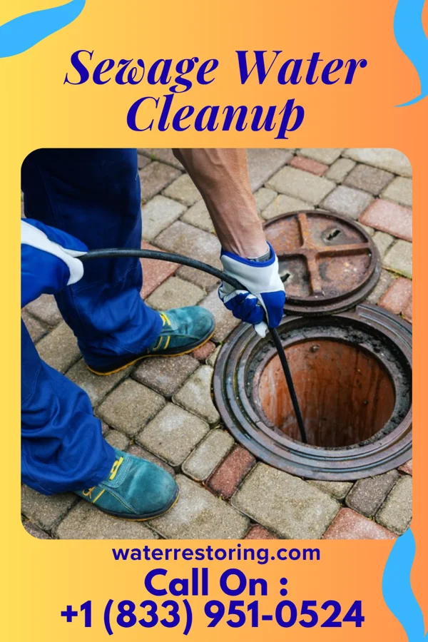 Sewage Water Cleanup in Boydton, VA